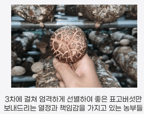 스피드번님의 장터 판매 상품 [장흥 생표고버섯] 첨부 사진
