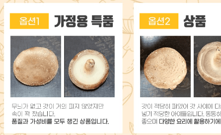 스피드번님의 장터 판매 상품 [장흥 생표고버섯] 첨부 사진