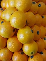 팜모닝 자유주제·자유게시판 게시글 이미지