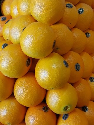 직송포유님의 자유주제 · 자유게시판 작성글 사진