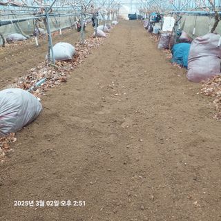 샤인머스켓님의 3월 농사 계획 공유해요 · 참여글 작성글 사진