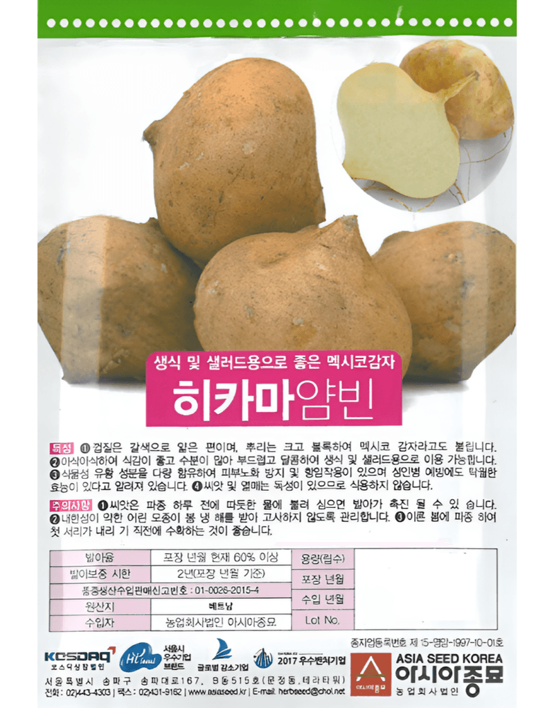 농업마켓365님의 장터 판매 상품 [농업마켓365 아시아종묘 멕시코감자 히카마 30립 종자 씨앗 감자 히카마얌빈] 첨부 사진
