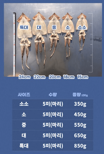 스피드번님의 장터 판매 상품 [반건조 오징어] 첨부 사진