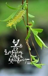 팜모닝 · 게시글 이미지