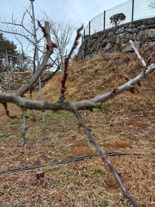 심무재 님의 자유주제 · 자유게시판 작성글 사진