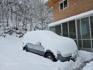 정선 숲속의농부님의 자유주제 · 자유게시판 작성글 사진