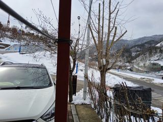 김용대님의 자유주제 · 자유게시판 작성글 사진