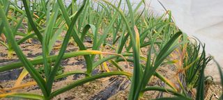 정진해님의 자유주제 · 자유게시판 작성글 사진