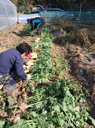 최한기님의 3월 농사 계획 공유해요 · 참여글 작성글 사진