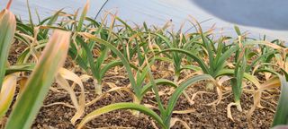 정진해님의 자유주제 · 자유게시판 작성글 사진