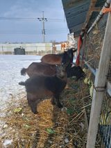 팜모닝 자유주제·자유게시판 게시글 이미지