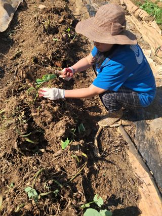 최한기님의 3월 농사 계획 공유해요 · 참여글 작성글 사진
