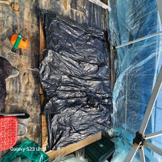 박용열조물주님 님의 자유주제 · 자유게시판 작성글 사진