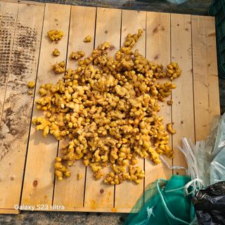 박용열조물주님 님의 자유주제 · 자유게시판 작성글 사진