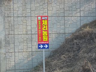 산양삼님의 자유주제 · 자유게시판 작성글 사진