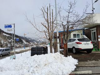 김용대님의 자유주제 · 자유게시판 작성글 사진