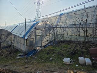 산양삼님의 자유주제 · 자유게시판 작성글 사진