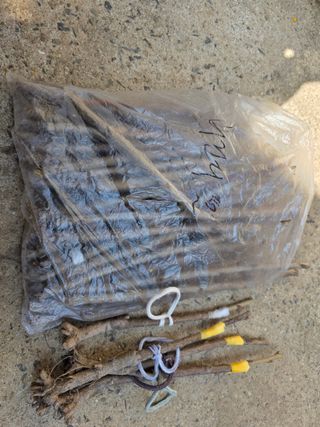 산양삼님의 자유주제 · 자유게시판 작성글 사진