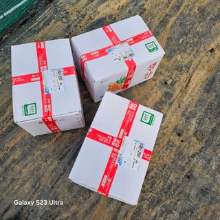 박용열조물주님 님의 자유주제 · 자유게시판 작성글 사진