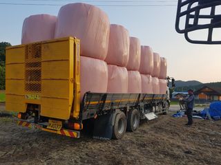 이행옥님의 자유주제 · 자유게시판 작성글 사진