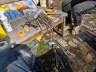 산양삼님의 자유주제 · 자유게시판 작성글 사진