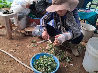 최한기님의 3월 농사 계획 공유해요 · 참여글 작성글 사진