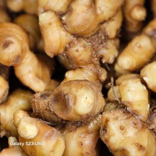 박용열조물주님 님의 자유주제 · 자유게시판 작성글 사진