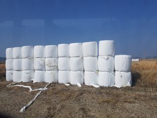 이행옥님의 자유주제 · 자유게시판 작성글 사진