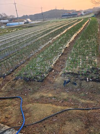 자연인님의 자유주제 · 자유게시판 작성글 사진