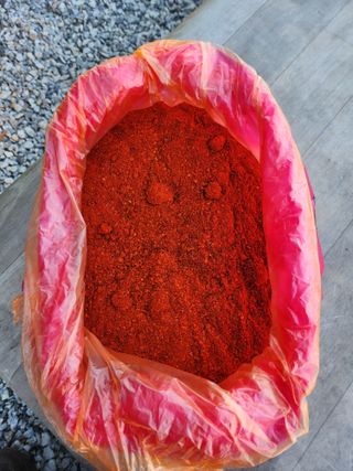 고추대~~~박님의 자유주제 · 자유게시판 작성글 사진