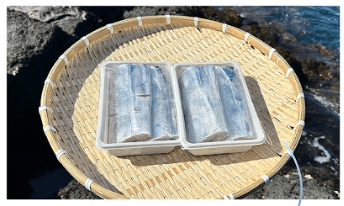 장터 상품 [[제주수산] 푸르디 은갈치,고등어,삼치] 썸네일