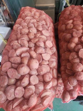 이원우님의 자유주제 · 자유게시판 작성글 사진