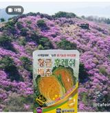 팜모닝 자유주제·자유게시판 게시글 이미지