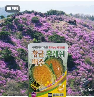 권리를위한투쟁님의 자유주제 · 자유게시판 작성글 사진