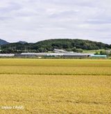 팜모닝 3월 농사 계획 공유해요·참여글 게시글 이미지