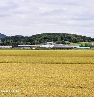 김주호님의 3월 농사 계획 공유해요 · 참여글 작성글 사진
