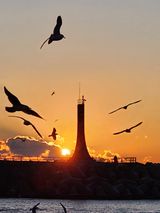 팜모닝 · 게시글 이미지