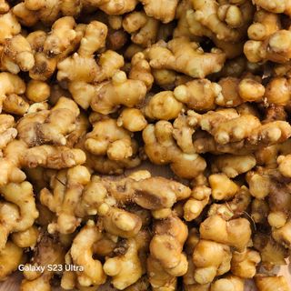 박용열조물주님 님의 자유주제 · 자유게시판 작성글 사진