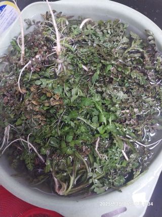 성주 농업인님의 자유주제 · 자유게시판 작성글 사진