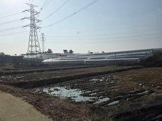 산양삼님의 자유주제 · 자유게시판 작성글 사진