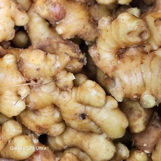 박용열조물주님 님의 자유주제 · 자유게시판 작성글 사진