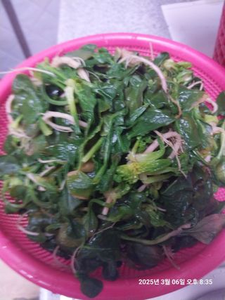 성주 농업인님의 자유주제 · 자유게시판 작성글 사진