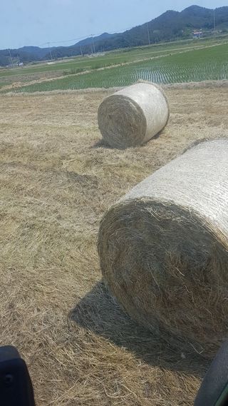 이행옥님의 자유주제 · 자유게시판 작성글 사진