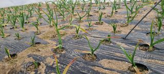 정진해님의 자유주제 · 자유게시판 작성글 사진