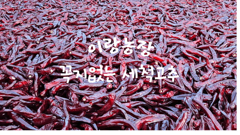 (이랑농장)김재한님의 장터 판매 상품 [25년 햇 세척 고추가루5근 3kg] 첨부 사진