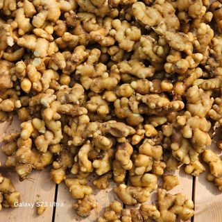 박용열조물주님 님의 자유주제 · 자유게시판 작성글 사진