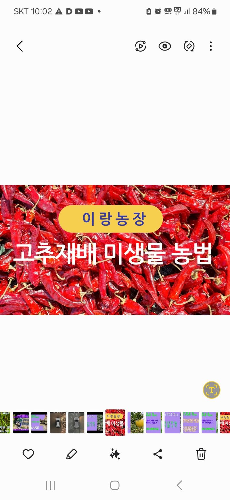 (이랑농장)김재한님의 장터 판매 상품 [25년 햇 세척 고추가루5근 3kg] 첨부 사진