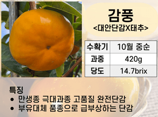 우리농원님의 자유주제 · 자유게시판 작성글 사진