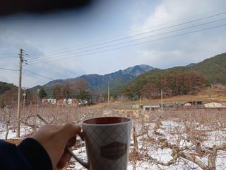 알 수 없음님의 자유주제 · 자유게시판 작성글 사진