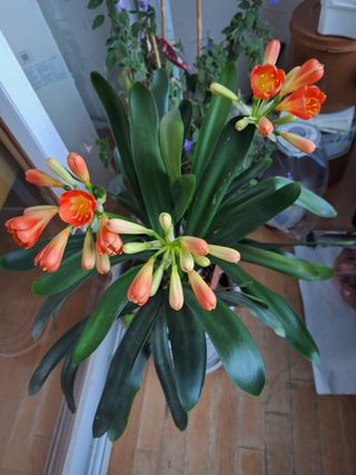 코알라님의 자유주제 · 자유게시판 작성글 사진